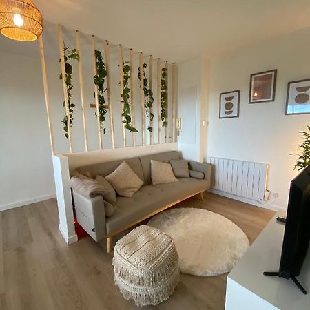 Appartement Cosy, Vue Imprenable 卡尔卡松 外观 照片