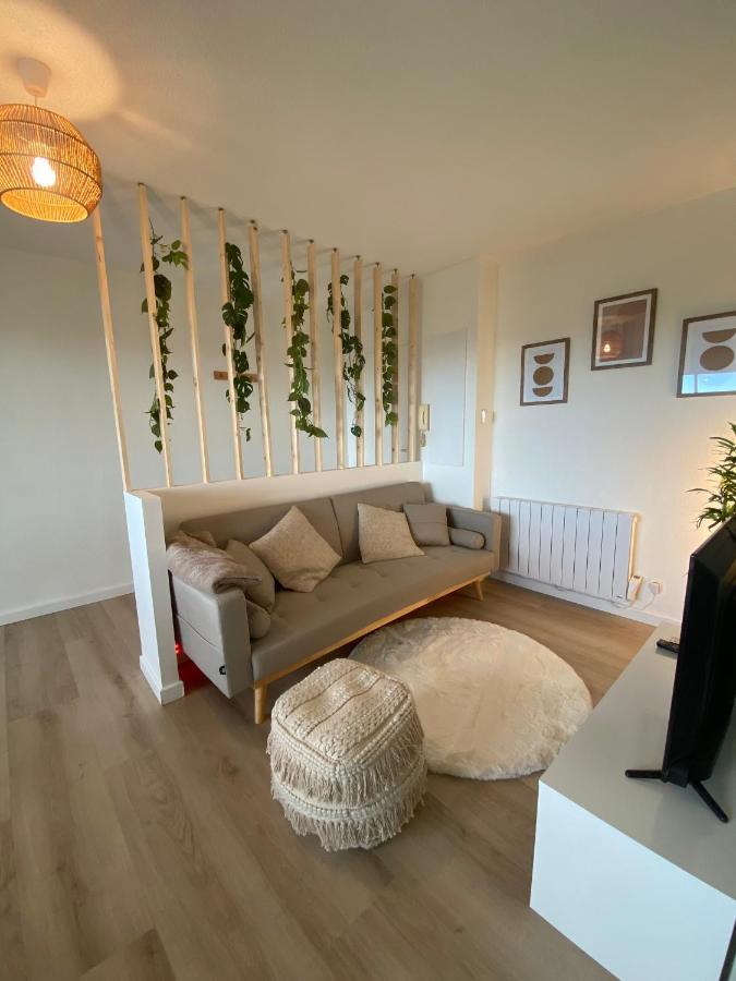 Appartement Cosy, Vue Imprenable 卡尔卡松 外观 照片