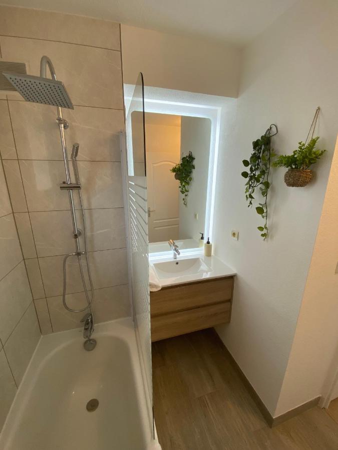Appartement Cosy, Vue Imprenable 卡尔卡松 外观 照片
